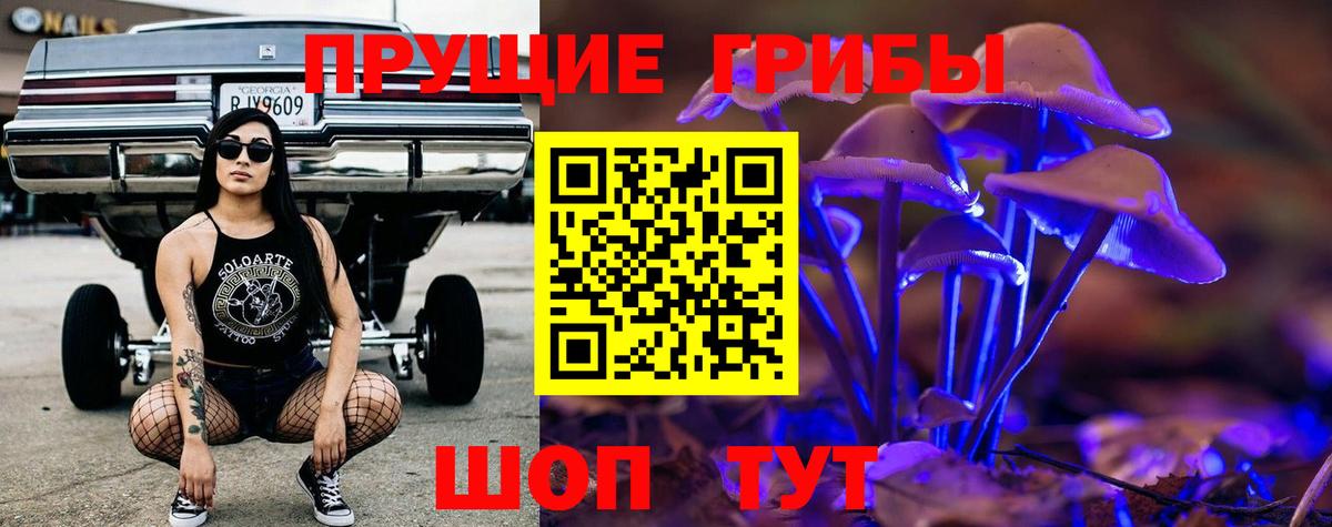 Галлюциногенные грибы прущие грибы Барабинск